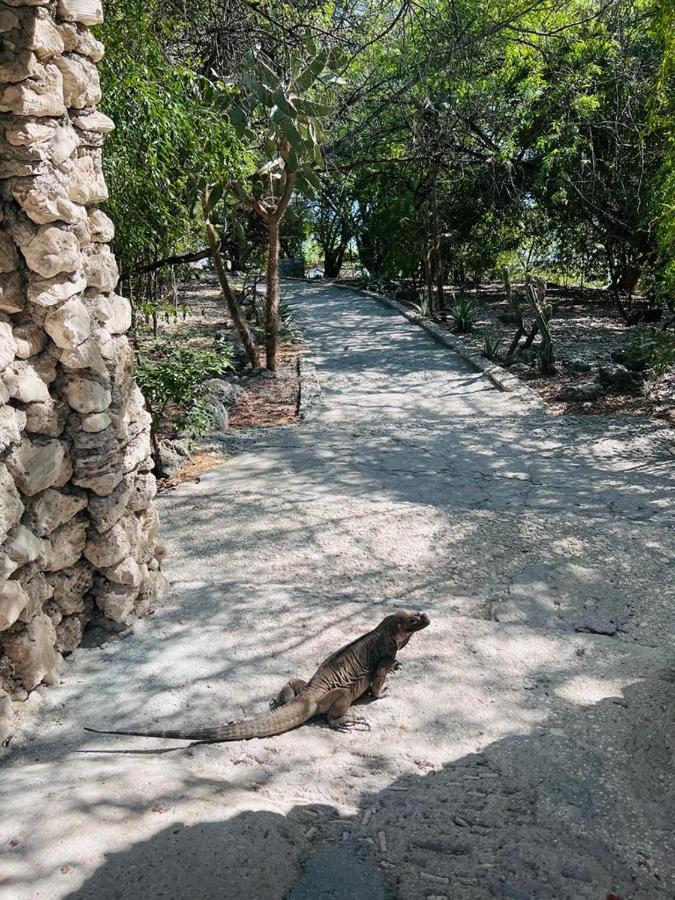 Lago Enriquillo Resorthotel Cerro Al Medio Extérieur photo